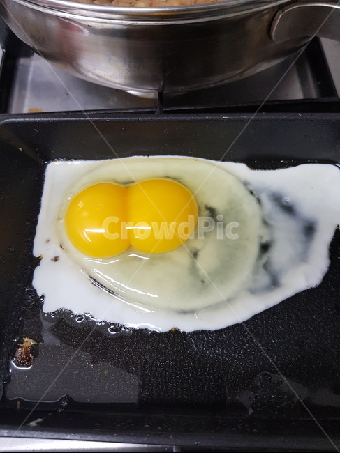 쌍란,달걀,노른자두개,왕란,계란후라이,주방,키친,부엌,주방용품,요리도구,kitchen,kitchenware,cookroom,cookingutensil,음식,식재료,요리,food,cook,meal,dishes,food reserves