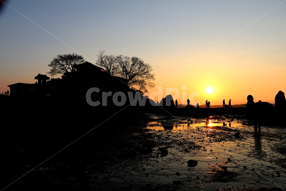 silhouette,풍경,석양,노을,바다,사람들,자연,풍경,nature,landscape,사람들,대중,군중,other people,crowd,실루엣,그림자,silhouette,shadow,인물실루엣,사람실루엣,character silhouette,human silhouette,outdoors,옥외,light,빛,flare,플레어,sunlight,햇빛
