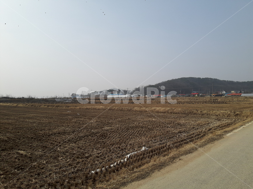 자연,풍경,철새,아름다움,생명,시골,마을,풍경,landscape,country,rural,town