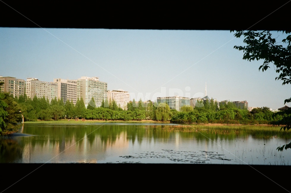 호수공원,일산호수공원,공원,호수,강,물,필름카메라,필름사진,park,river,lake,봄품경