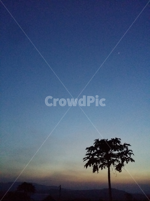 하늘,구름,나무,자연,노을,sky,tree,nature,야자수,자연,풍경,nature,landscape,식물,plants,나무,trees,wood,실루엣,그림자,silhouette,shadow,plant,outdoors,옥외