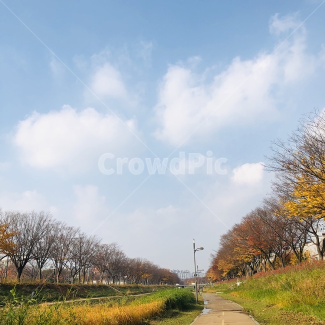 풍경,가을,하늘,구름,계절,가을,계절,fall,autumn,season,자연,풍경,nature,landscape,tree,나무,plant,식물,road,도로