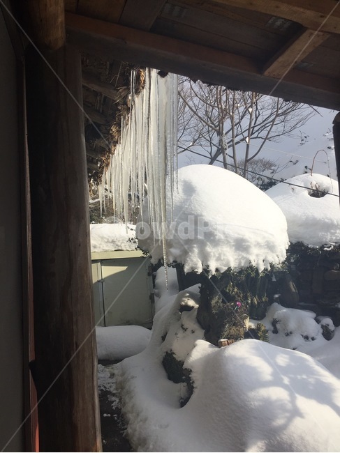 icicles,snow,winter,huge,white snow