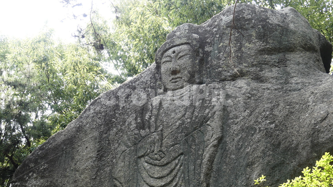 불상,자연휴양림,여래입상,천안,삼태리,마애여래입상,불심,종교,기도