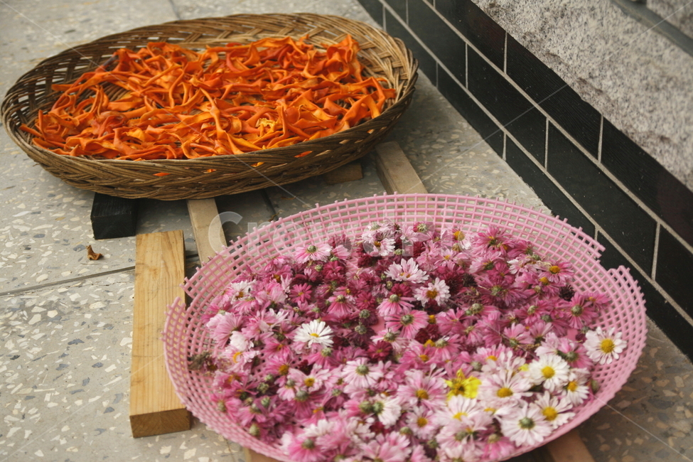 시골,고향,국화,가을,고향집,꽃,flower