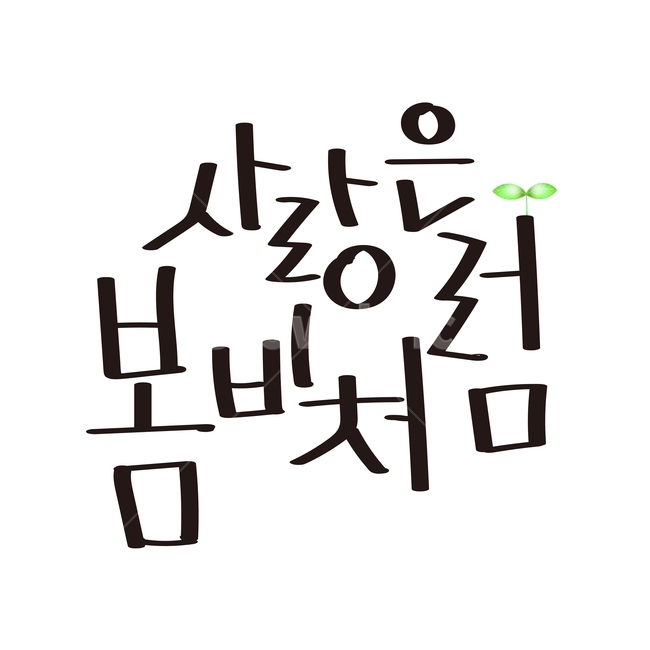 캘리,캘리그라피,손글씨,펜글씨,봄캘리,봄,누끼,remove background,캘리그라피,손글씨,calligraphy