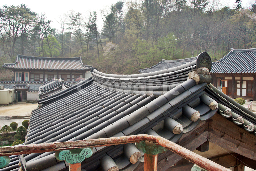 회랑,처마,기와,봉선사,남양주,교종수사찰,선열당,한국전통,한국문화,korean traditional,korean culture,건축물,건물외관,exterior,building,structure,architecture,construction
