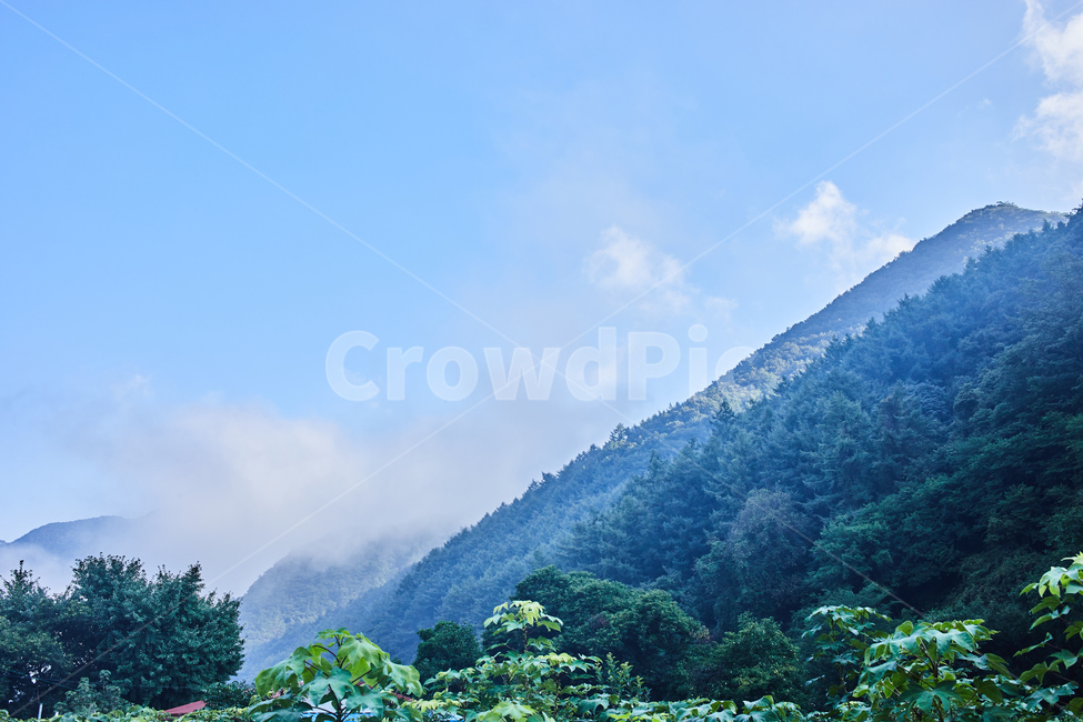 구름,하늘,시골,산,아침,새벽,나무,자연,nature,sky,공기,밭,초록,파랑,outdoors,옥외,weather,날씨,azuresky,푸른하늘