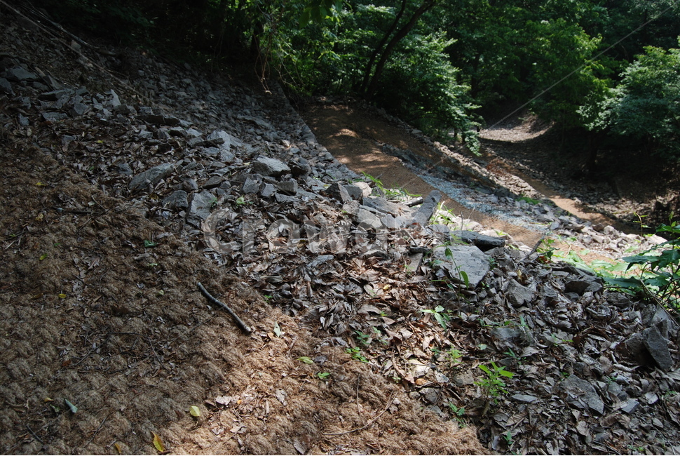 상왕봉,백암산,나무,자연,봄,자연,풍경,nature,landscape,ground,바닥,gravel,자갈,dirt road,흙길,road,도로,rubble,파편,slope,경사