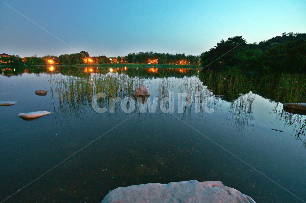 호수,조명,반사,수풀,바위,반영,불빛,공원,자연,풍경,nature,landscape,야경,밤,nightscape,night,water,물,outdoors,옥외