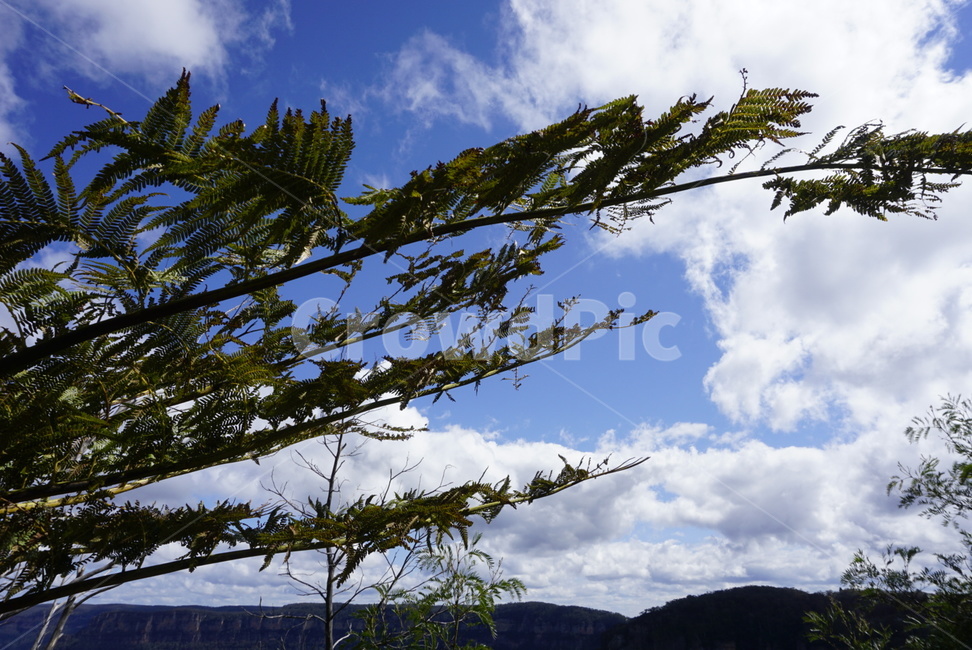 산,하늘,나무,자연,구름,자연,풍경,nature,landscape,tree,plant,식물