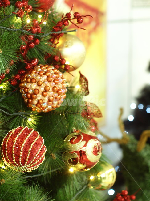 christmastree,크리스마스트리,tree,나무,ornament,장식,식물,plant,겨울,계절,winter,season,메리크리스마스,성탄절,merry christmas