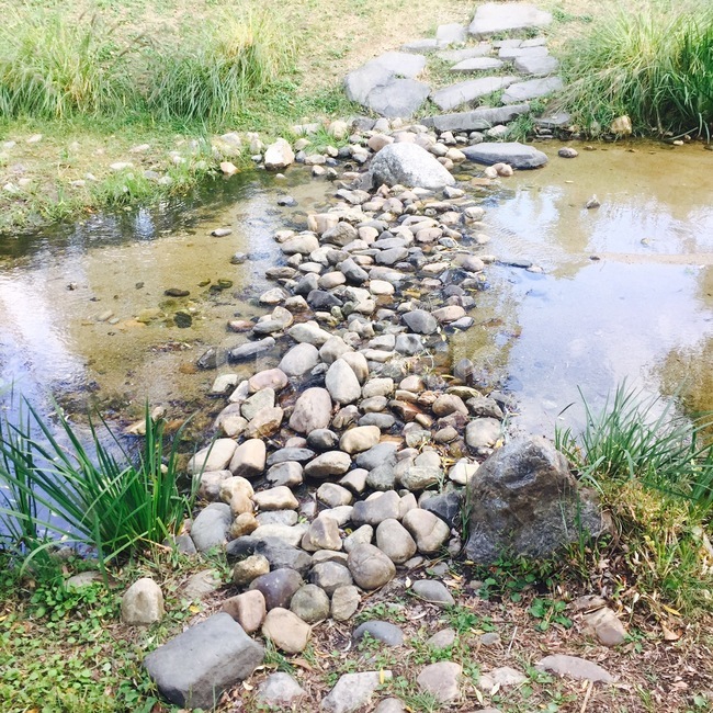 자연,도심속여유,공원,산책,맑음