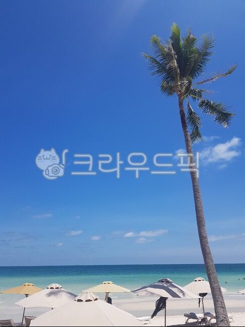 해변,바닷가,베트남,야자수,모래사장,파라솔,summer,여름,파란하늘,구름