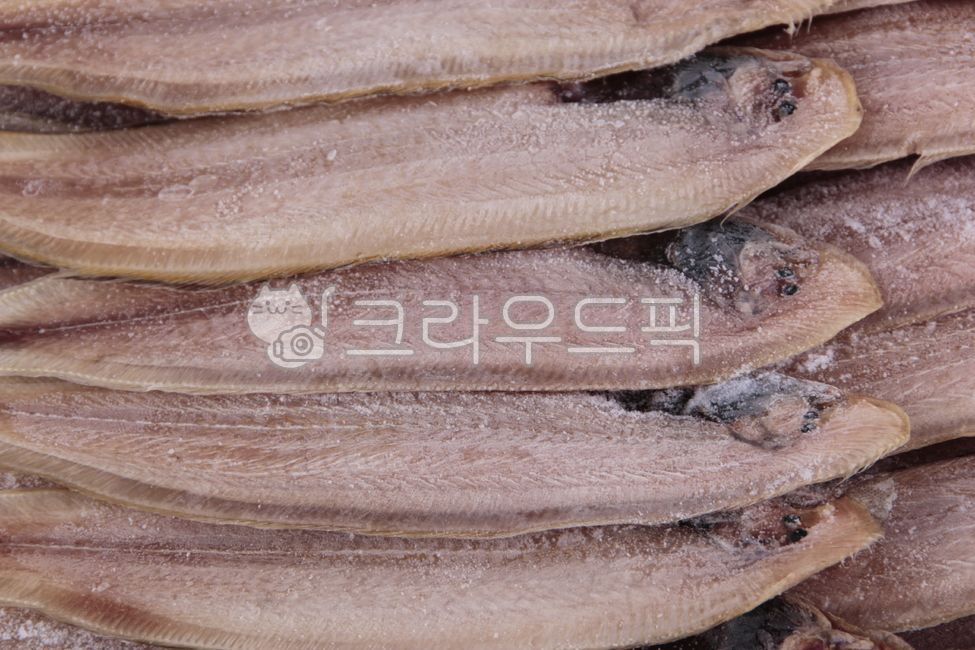 박대, 서대, 생선, 냉동생선, 음식, 사진,이미지,일러스트,캘리그라피 - Nerika_mini작가