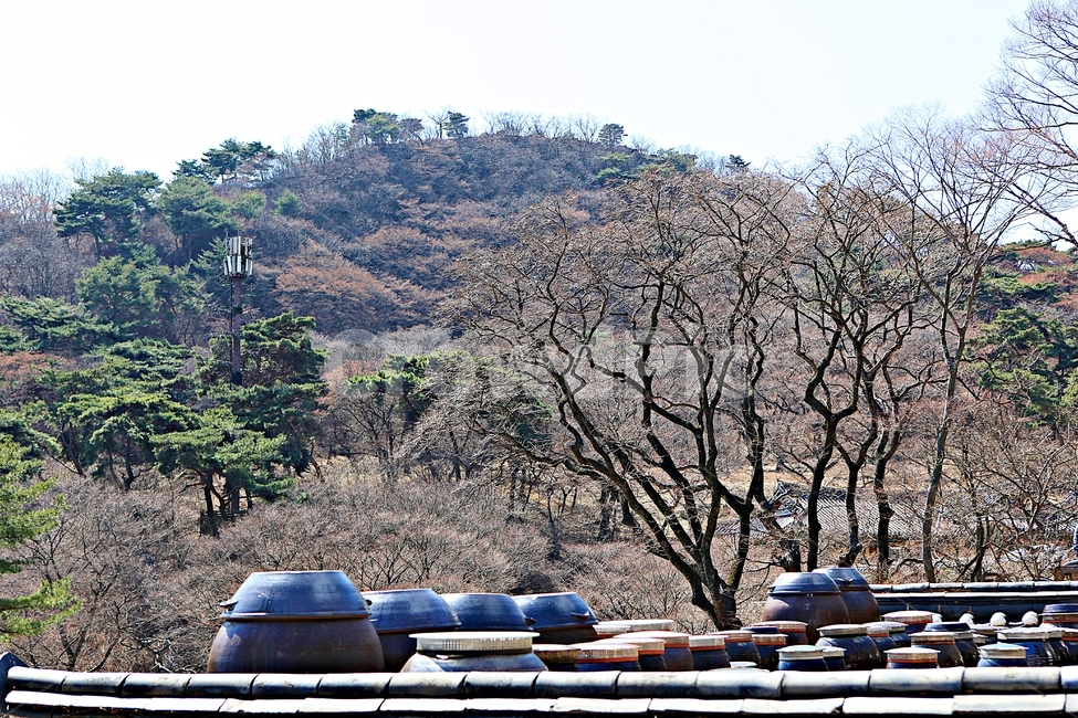 항아리,장독대,독,풍경,자연,장,배경,먹거리,음식,식자재,자연,풍경,nature,landscape,한국자연풍경,한국자연경관,korea nature landscape
