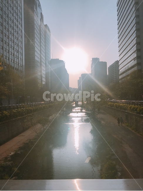 일몰,해,청계천,도심,퇴근