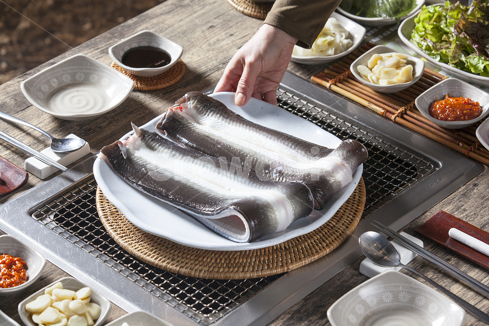민물장어,장어구이,장어,풍천장어,고창장어,고창풍천장어,국내산장어,meal,식사,food,음식,복날,초복,중복,말복,복날음식,음식,식재료,요리,food,cook,meal,dishes,food reserves,수산물,해산물,fishery products,seafood,한식,한국음식,한국요리,korean food,korean dishes,korean meal,korean cook