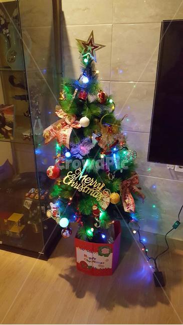 크리스마스,성탄절,겨울,크리스마스분위기,트리,크리스마스트리,메리크리스마스,성탄절,merry christmas