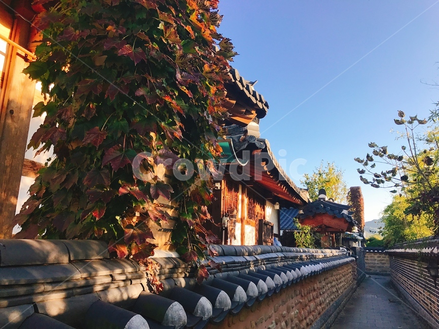 한옥,전주,돌담길,풍경,골목,한국적인,전통