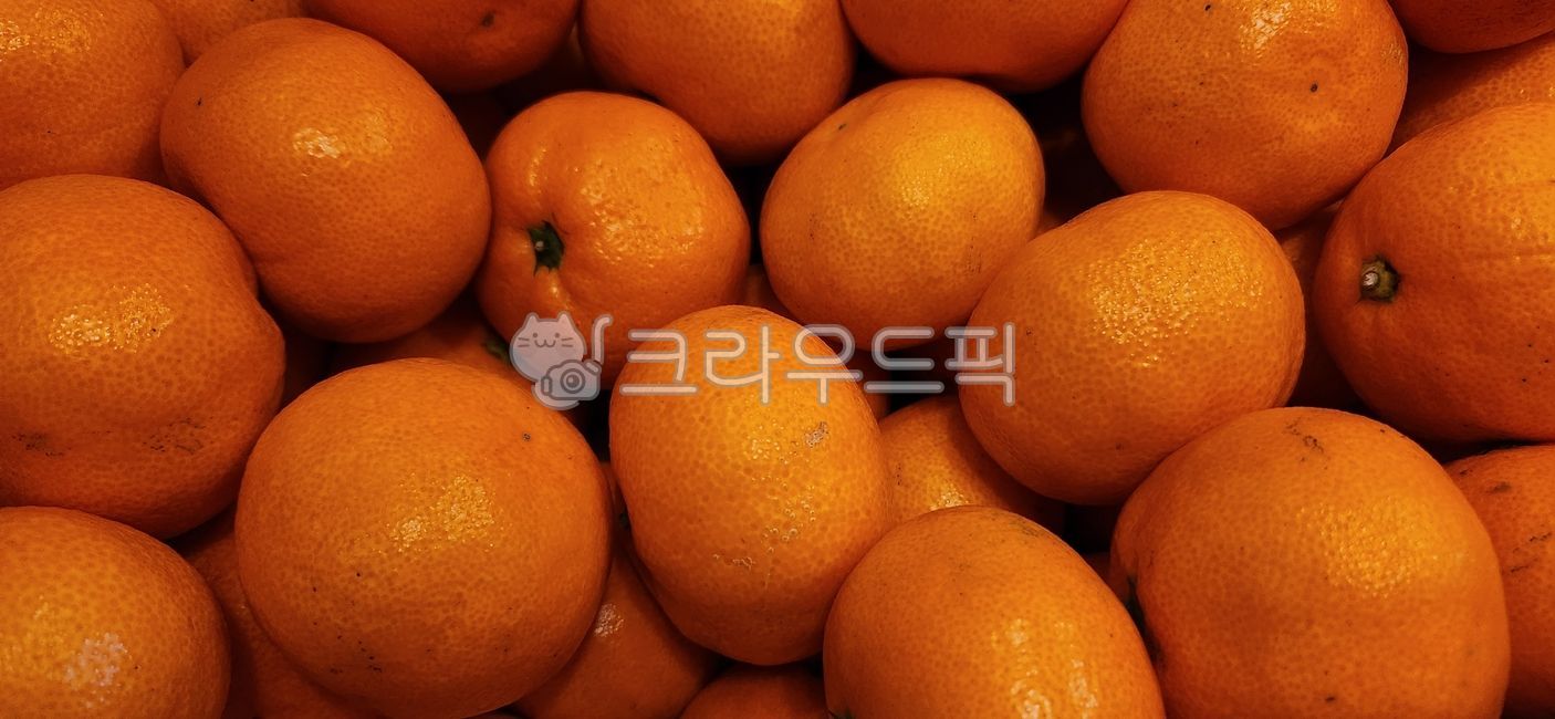 mandarin,citrus fruits,fruit,Orange,orange tangerine,food,tangerines,citrusfruit,orange,Ripe tangerines,royal size,Jeju Tangerine,Jeju tangerines