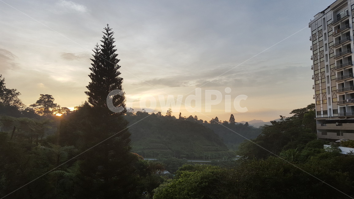하늘,일출,나무,자연,풍경,산