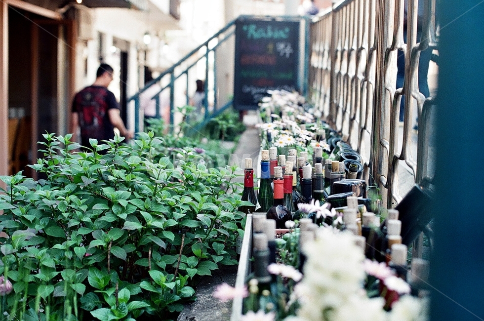 거리,와인,꽃,감성,필름,film,filmphoto,사람,아웃포커싱,길거리,street,꾸밈,exterior,식물,자연,plants,nature