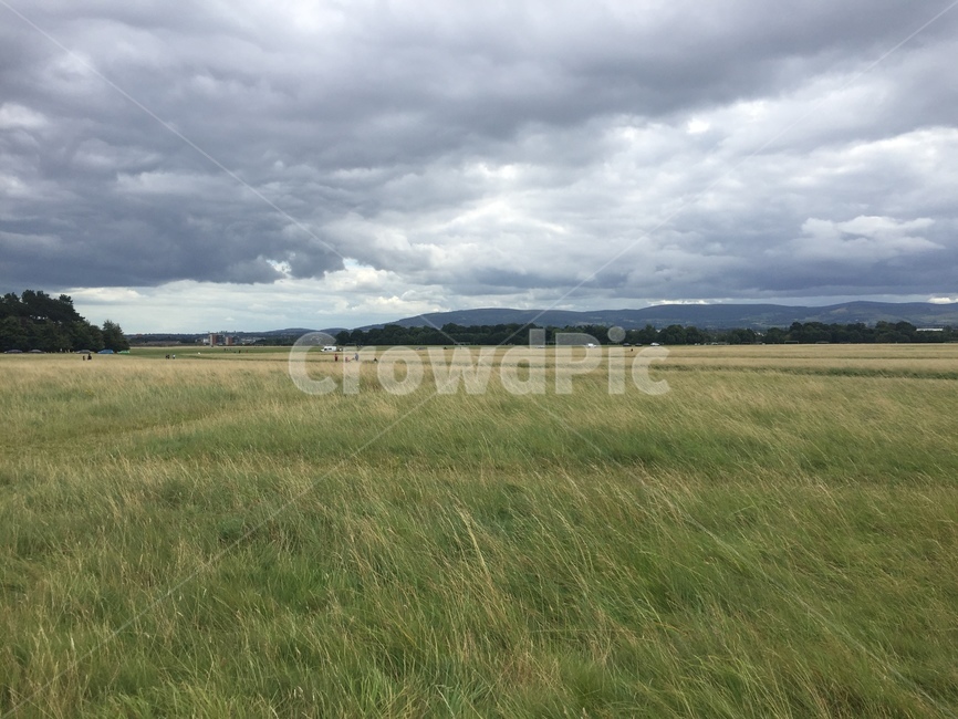 아일랜드,더블린,피닉스파크,공원,풍경,유럽,자연,목초지,들,field,자연,풍경,nature,landscape