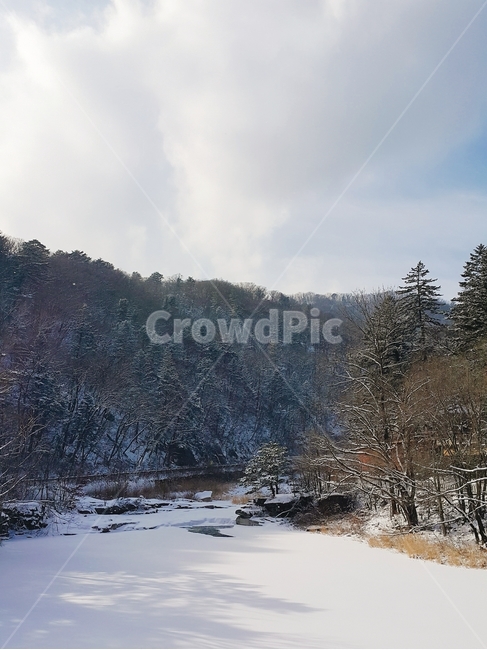 겨울,오대산,눈,계곡,산,침엽수,얼음호수,나무그림자,설경,겨울,계절,winter,season,자연,풍경,nature,landscape,plant,식물,tree,나무,fir,전나무,outdoors,옥외