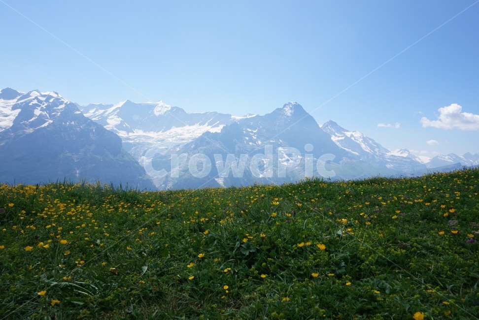 산,풍경,스위스,outdoors,옥외,nature,자연,감성,자연,풍경,nature,landscape,field,들,grassland,목초지,meadow,farm,농장,rural,농촌