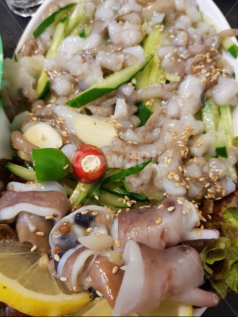 낙지,산낙지,회,낙지회,해산물,음식,식재료,요리,food,cook,meal,dishes,food reserves,수산물,해산물,fishery products,seafood