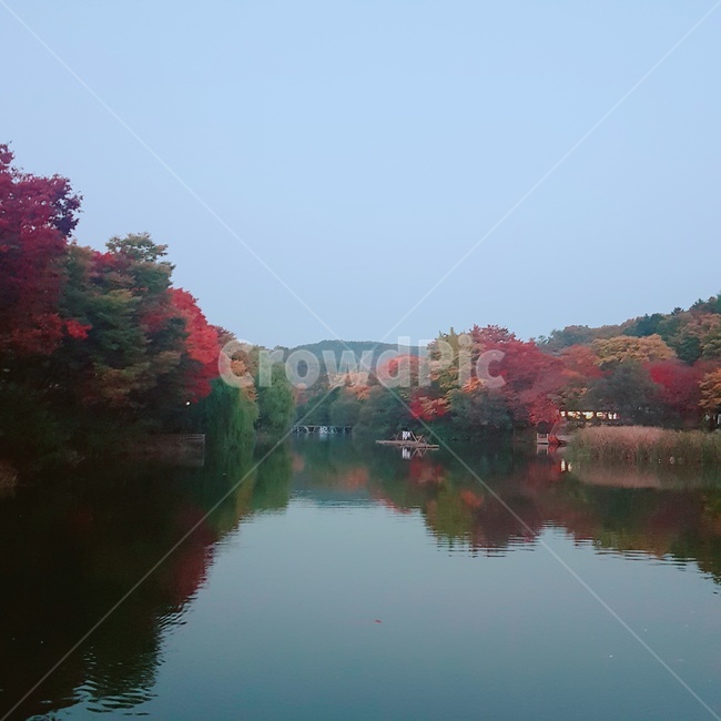 가을,민속촌,울긋불긋,그림자,호수