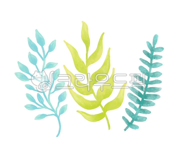 식물,식물그림,꽃그림,풀잎,풀,식물일러스트,꽃일러스트,보태니컬,보테니컬,잎사귀,나뭇잎,plants