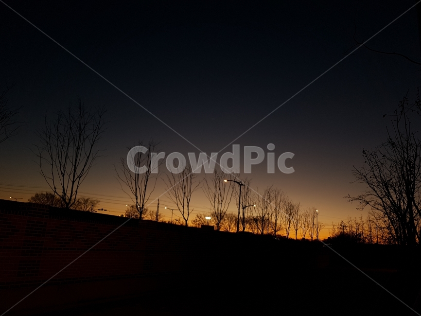 겨울,저녁,하늘,노을,가로등,나무,풍경,자연,풍경,nature,landscape,outdoors,옥외,sky,dawn,새벽,red sky,붉은 하늘,dusk,황혼,sunset,일몰