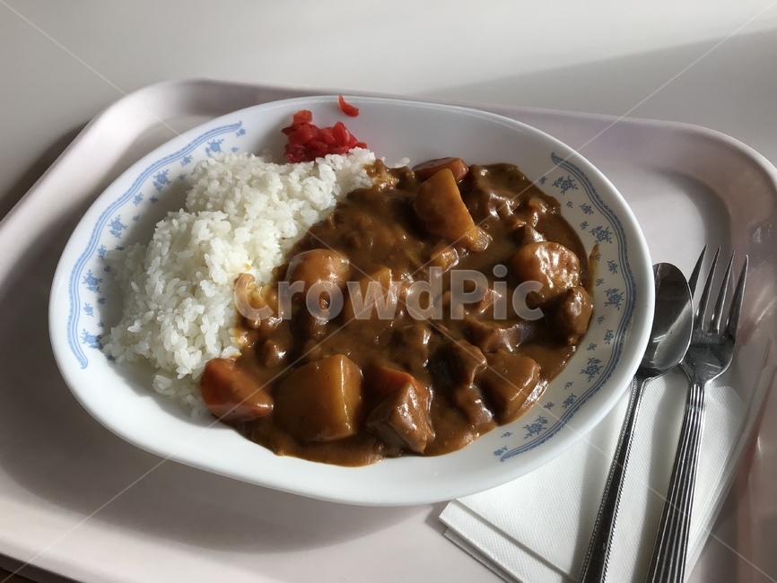 일본카레,일본식카레,돼지고기카레,카레,카레라이스,음식,식재료,요리,food,cook,meal,dishes,food reserves