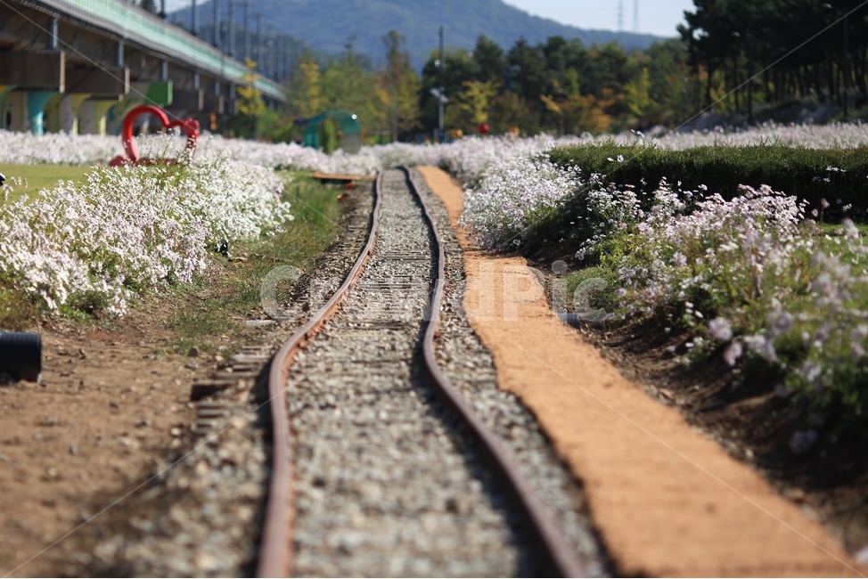 railroad,Gujeolcho,Gojan Station,sight