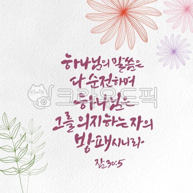 shield,Callie,will,flower painting,Bible,church,father,words,good bible verses,Sunjeon,leaf,flower,leaf illustration,Proverb 305,leaves,bible verse,flower illustration,illustration,scripture,Proverbs,calligraphy