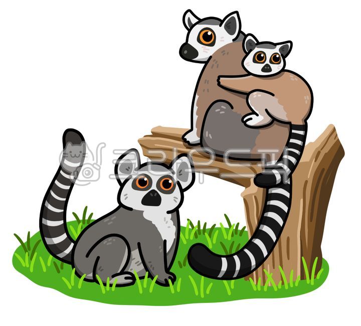 lemur,monkey,reamer,animal,tigertailed monkey