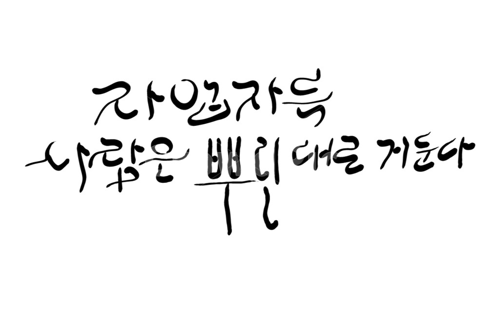 자업자득,교훈,손글씨,캘리그라피,한자성어,캘리그라피,손글씨,calligraphy