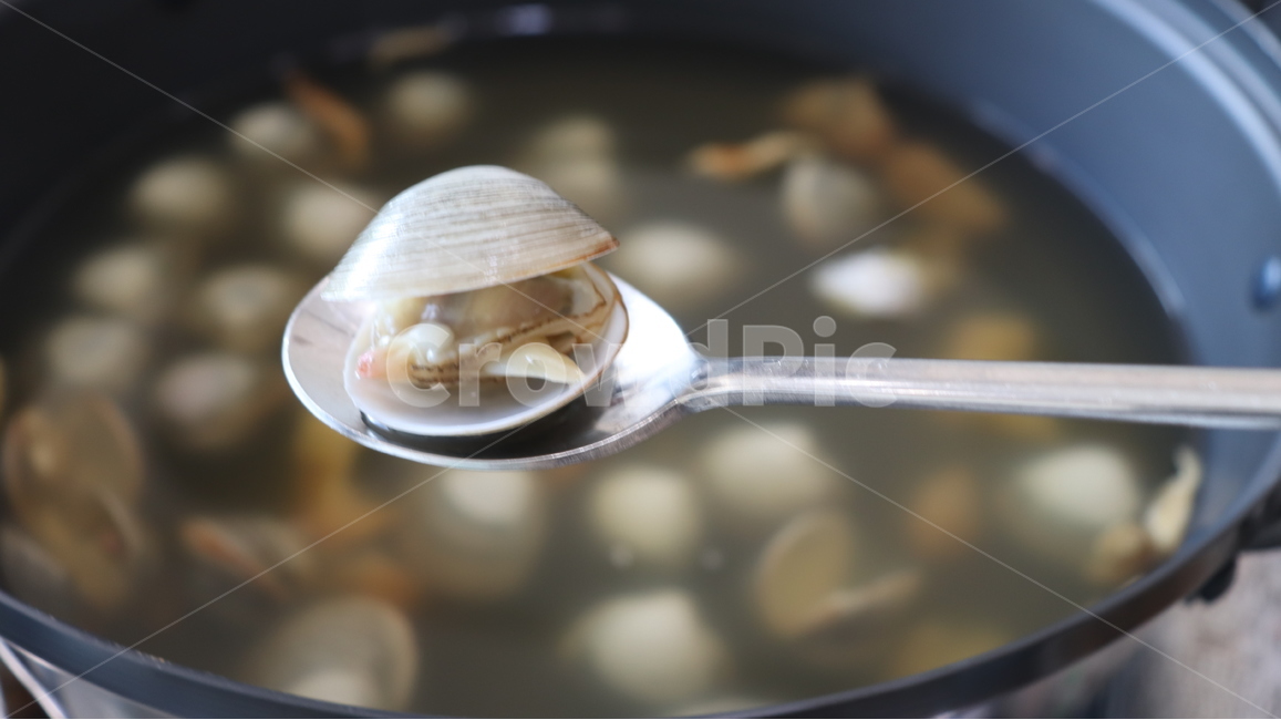 해물,조개,동죽,육수,음식,음식,식재료,요리,food,cook,meal,dishes,food reserves,수산물,해산물,fishery products,seafood