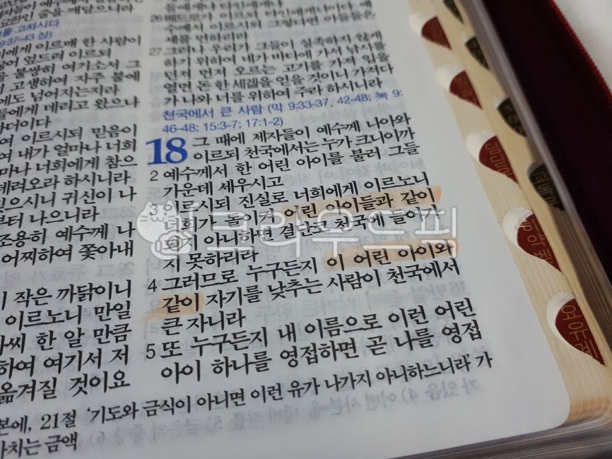 trust,Bible,church,kid,father,Young kid,faith,bibleverse,Worship,Matthew 183,Jesus,children,Matthew 184,Parents Sunday,Holy Ghost,text,scripture,bible,family month,read,words,heaven,contemplation,religion,meditation on the word,Reading the Bible,Salvation