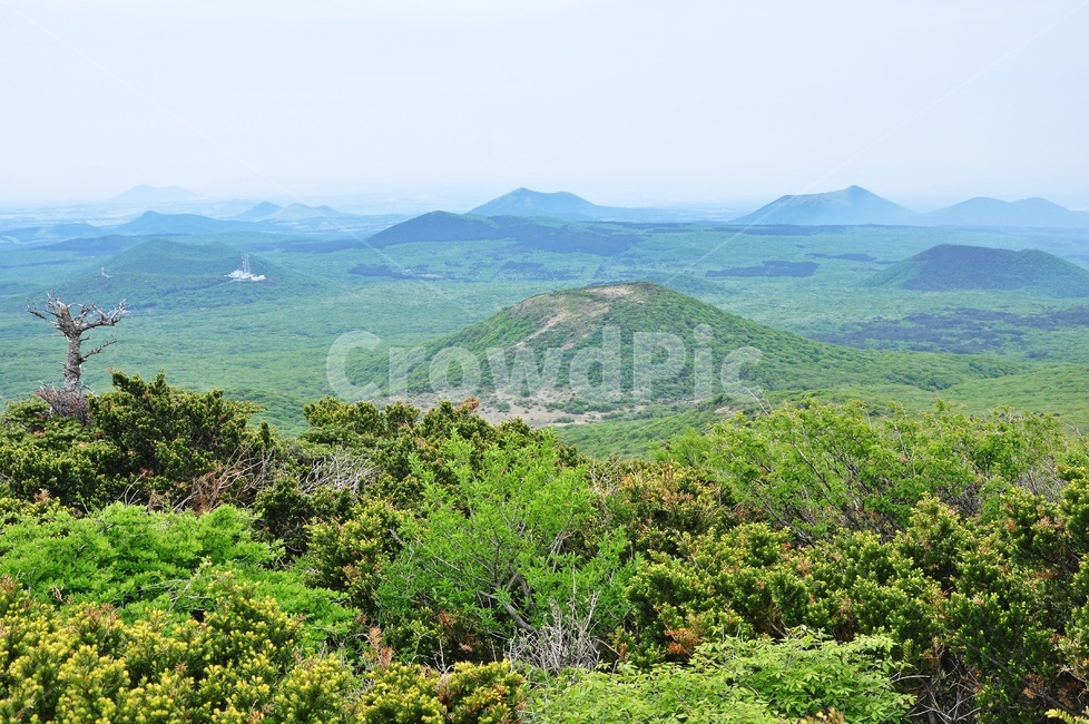 제주,한라산,등반,오름,봄,풍경,nature,자연,outdoors,옥외,hill,언덕,자연,풍경,nature,landscape