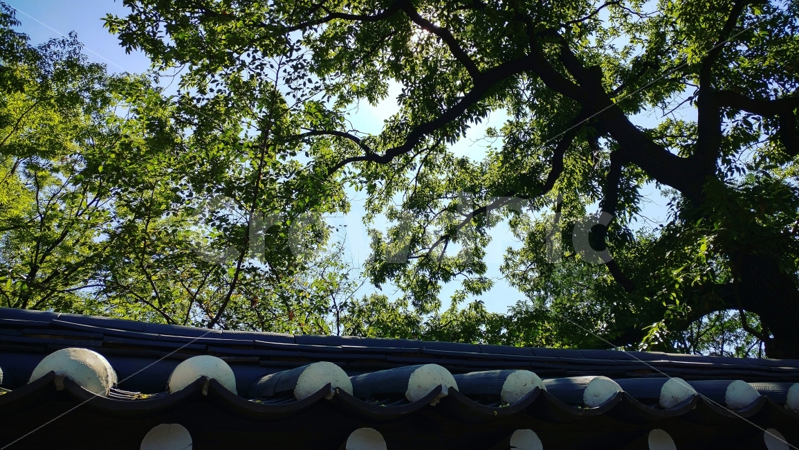 덕수궁,돌담길,담장,하늘,담,궁,서울,한국전통,한국문화,korean traditional,korean culture