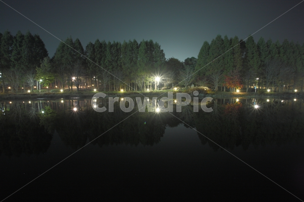 반영,야경,호수,공원,lake,reflex,nightview,자연,풍경,nature,landscape,야경,밤,nightscape,night,water,물