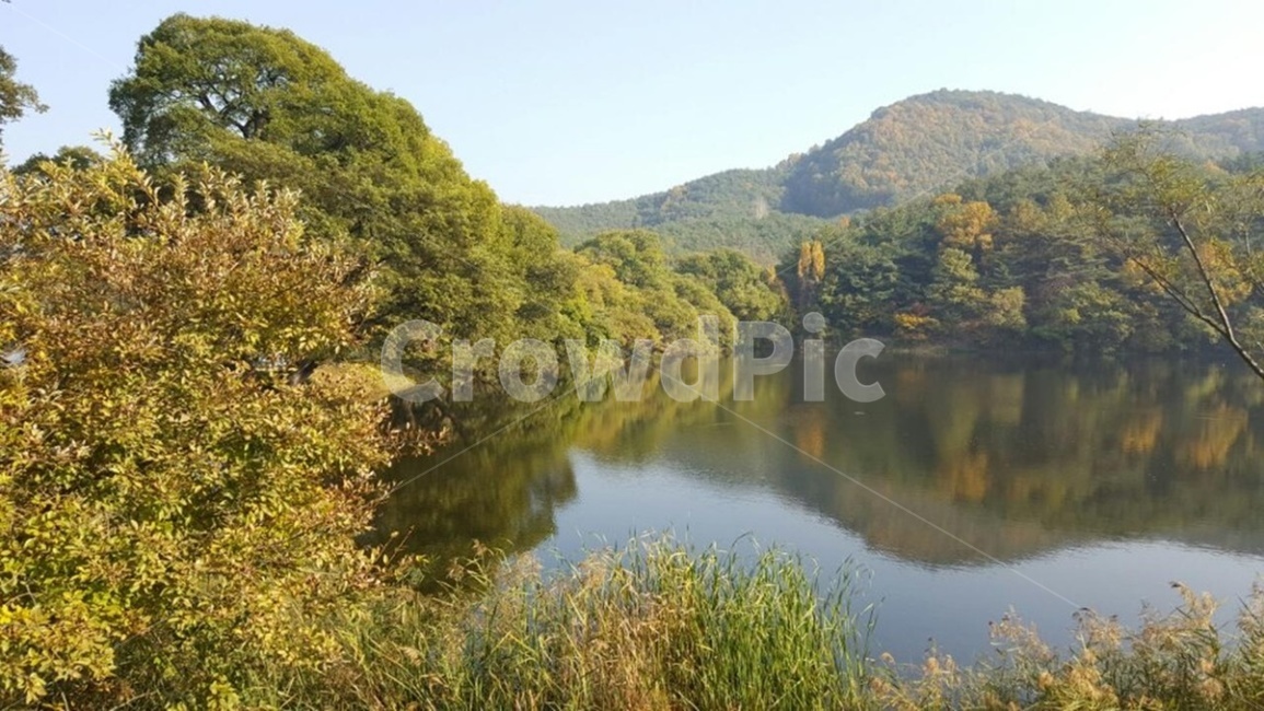 물,저수지,풍경,자연,나무,식물,자연,풍경,nature,landscape