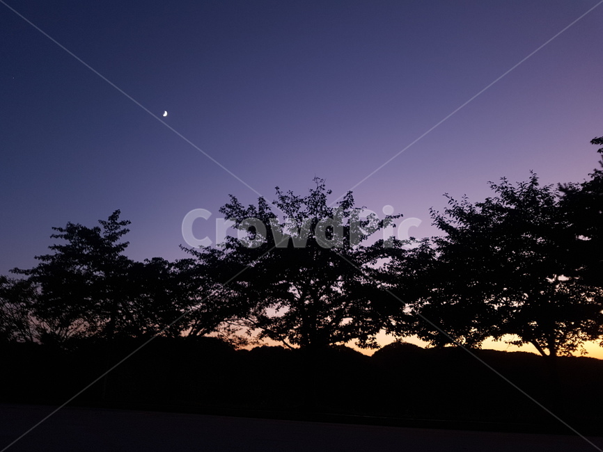 밤하늘,야경,감성,그림자,달,자연,풍경,nature,landscape,야경,밤,nightscape,night,outdoors,옥외,silhouette,실루엣