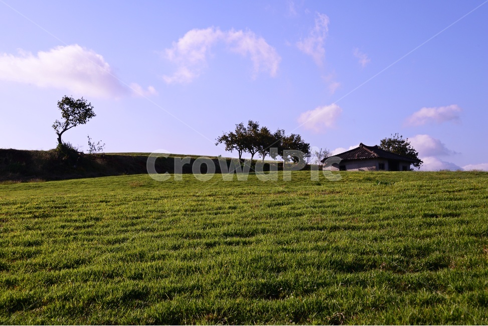 장성,삼서,외딴집,구름,목초,plant,식물,grass,잔디,field,들,자연,경치,풍경,자연,풍경,nature,landscape