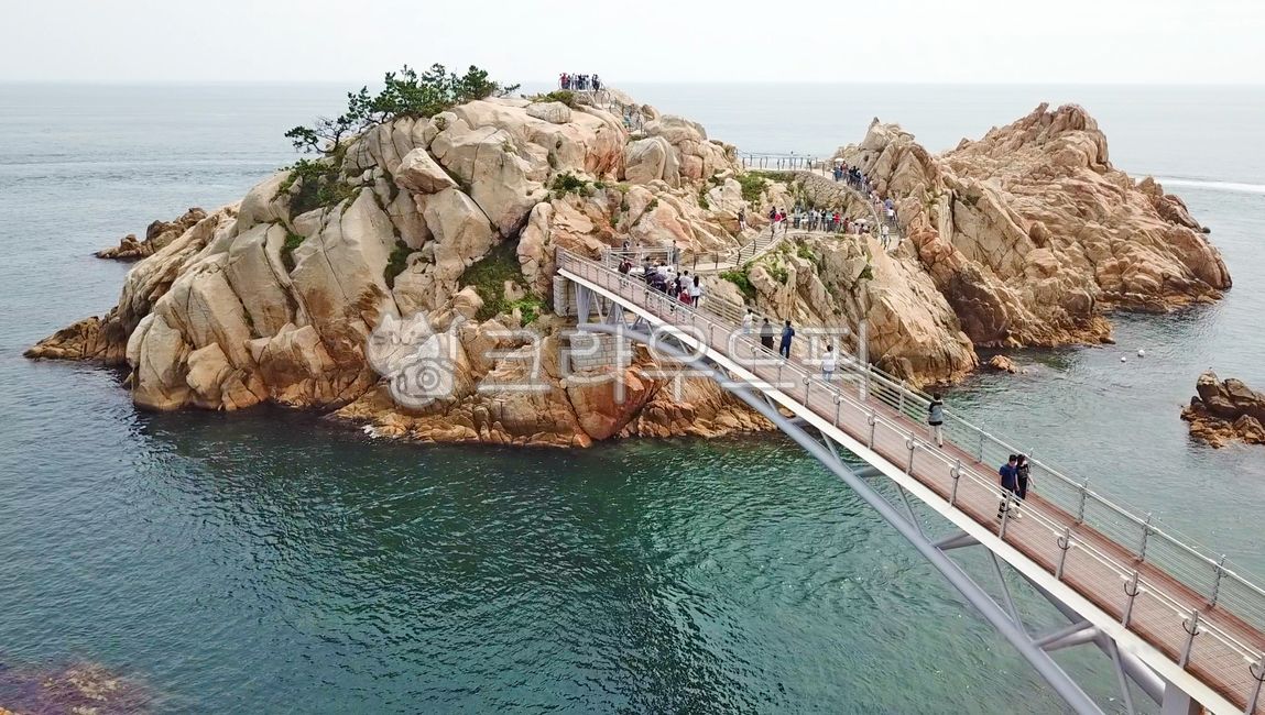 대왕암,울산대왕암,바다,섬,구름다리,자연,물,nature,sea,water,해안선,shoreline,출렁다리,관광지,명소,관광명소