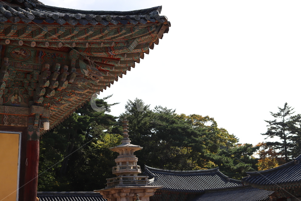 불국사,다보탑,절,사찰,사적,기와,처마,불교,경주,통일신라,신라,종교,역사,문화,전통,유적,삼국유사,관광지,건물,건축물,신전,신사,탑,예배,지붕,worship,building,architecture,shrine,temple,pagoda,roof