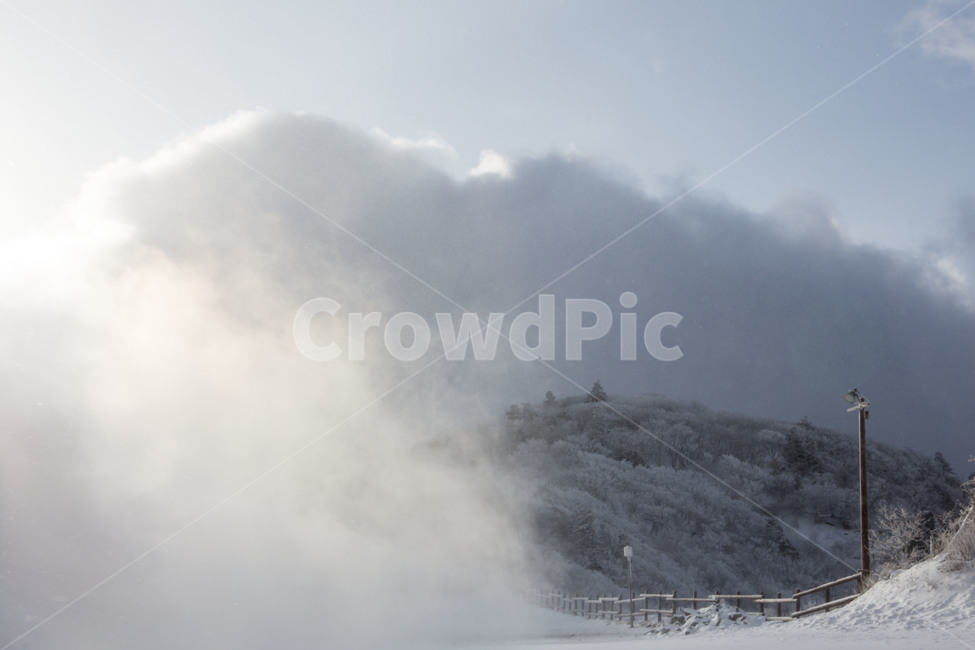 눈보라,자연,설경,운해,풍경,겨울,계절,winter,season,자연,풍경,nature,landscape,한국자연풍경,한국자연경관,korea nature landscape,outdoors,옥외